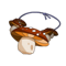 Amunita