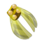 Golden Scaracape