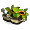 Kanniball Andchain's Boots