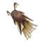 Ptidoop Cape