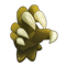 Tyranna Glove
