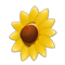 Wild Sunflower Shield